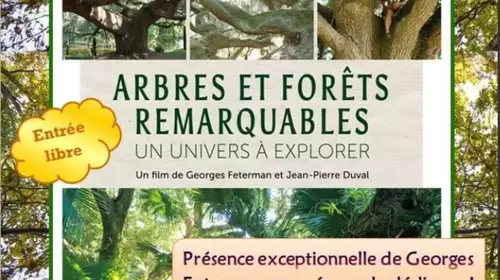 Projection du film "Arbres et forêts remarquables"